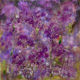 ALLIUMS