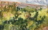 SUMMER BORDER - SOLD