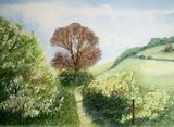 May on the South Downs Way by Judy Palmer