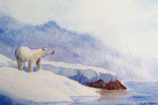Polar Bear by Judy_Palmer