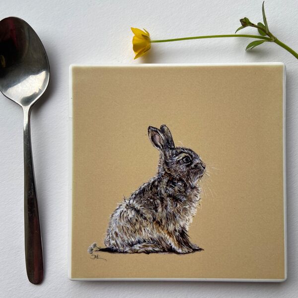 Harry on Ochre, Ceramic Coaster