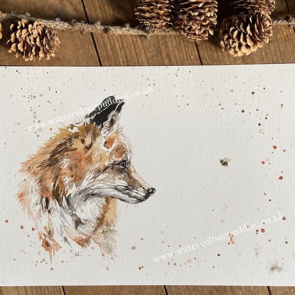 Fox and Bee Limited Edition