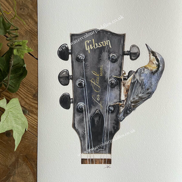 The Gibson and the Nuthatch Limited Edition