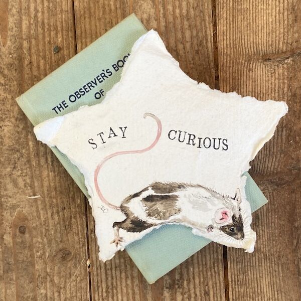 Mini Splash - Stay Curious, Paper Heart