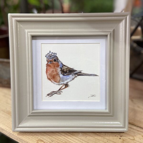 Little Puddles Princess Robin