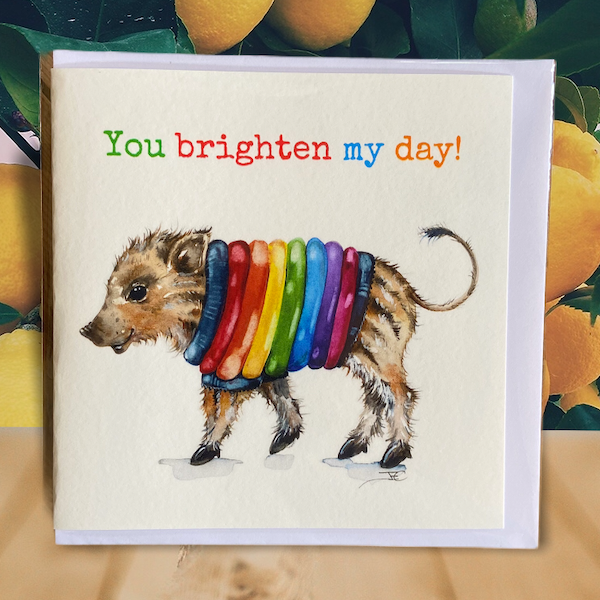 Rainbow Humbug card