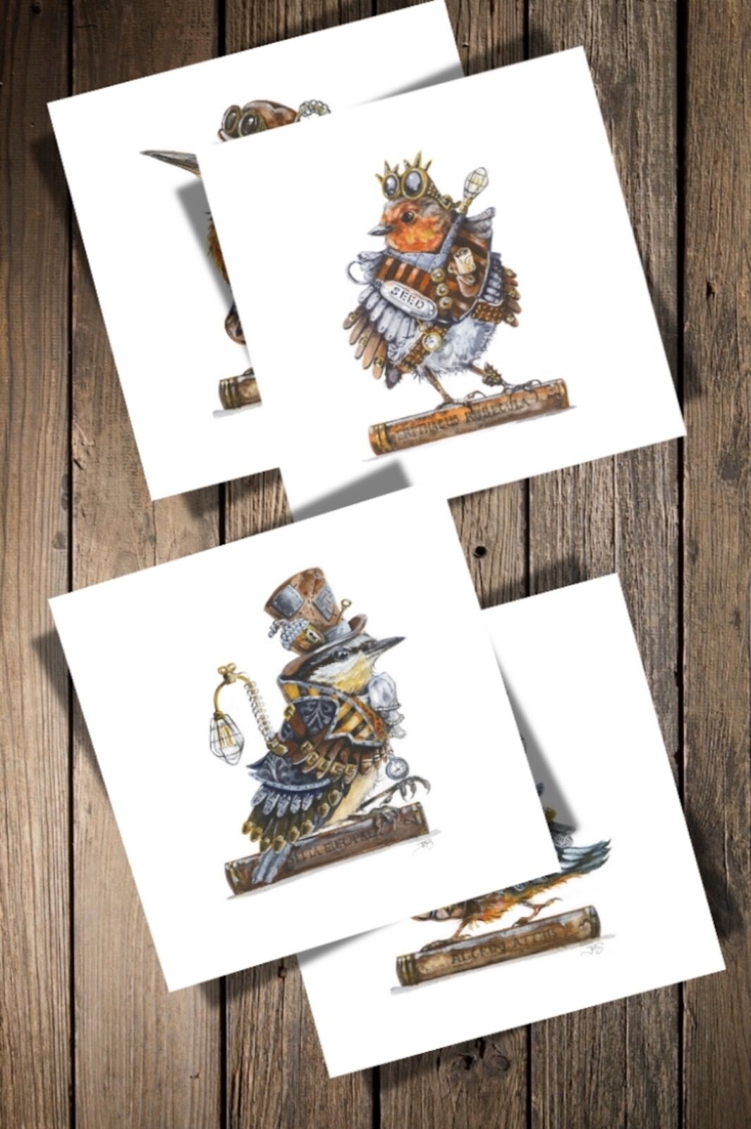 Coming soon... The Steampunk 4 Bird Collection - LTD ED Unmounted Prints