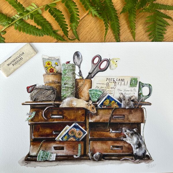 Embrace the Chaos, Limited Edition