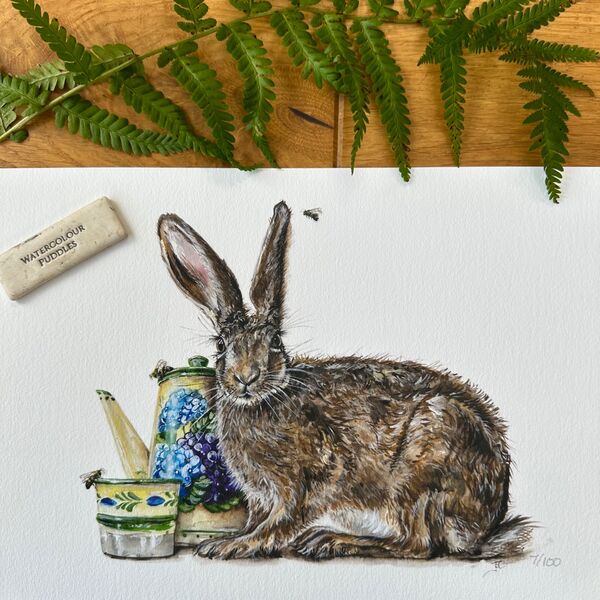 Ember and the Bees, Limited Edition