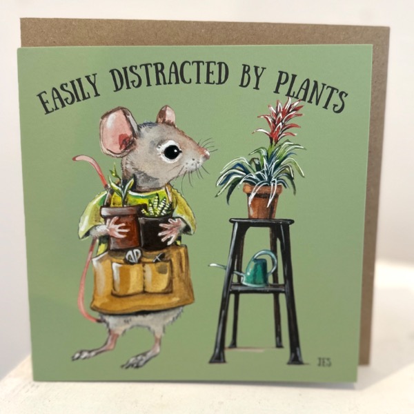 The Card Collections