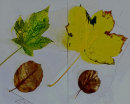 Four Leaves