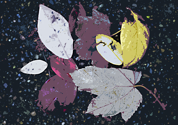 Garden Leaves No1
