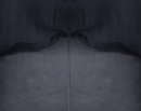 Caroline No3 Abstract.