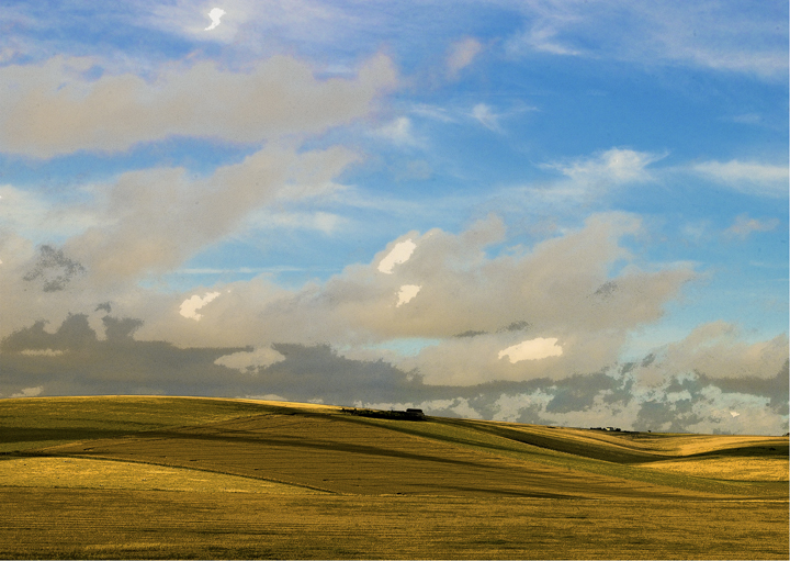 Sussex Downs No9