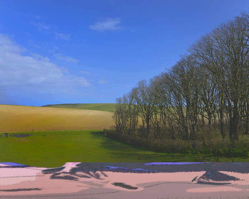 Sussex Downs No4
