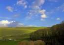 Sussex Downs No5