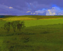 Sussex Downs No2