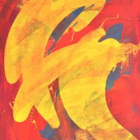 Bring me back a parrot edited-2