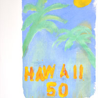 Hawaii 50 orange edited-2