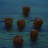Scotch Bonnets