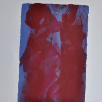 The Magenta fish escaped the net