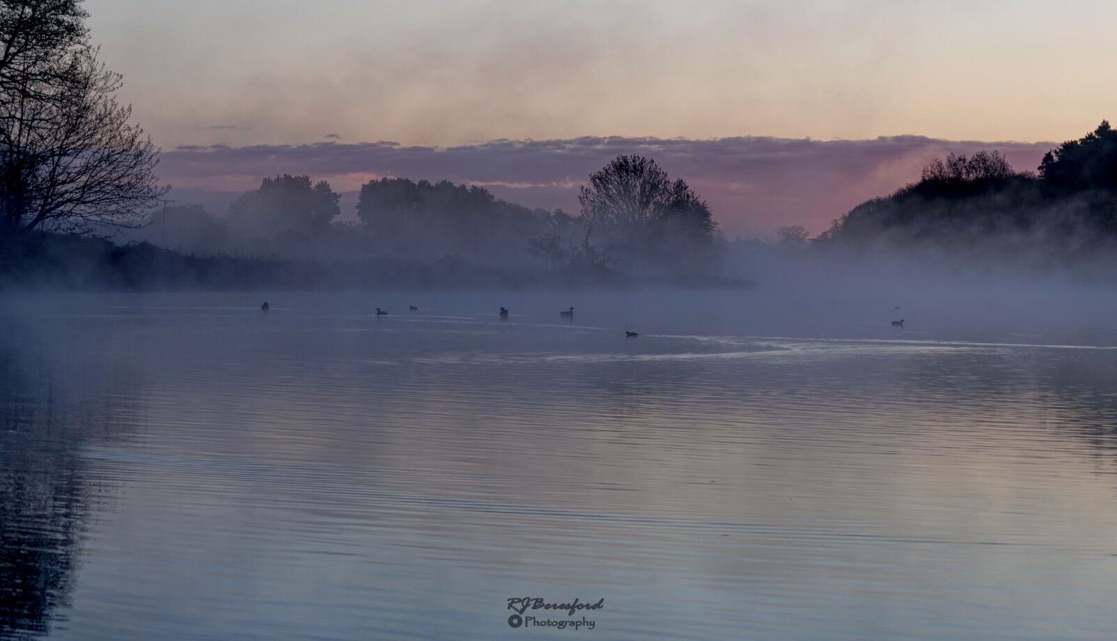 Early Morning Mist