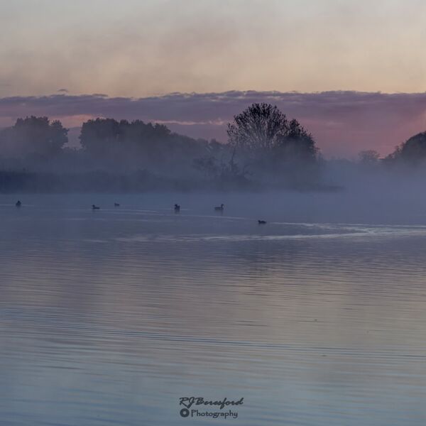 Early Morning Mist