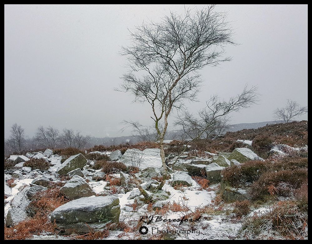In Winters Grip
