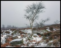 In Winters Grip
