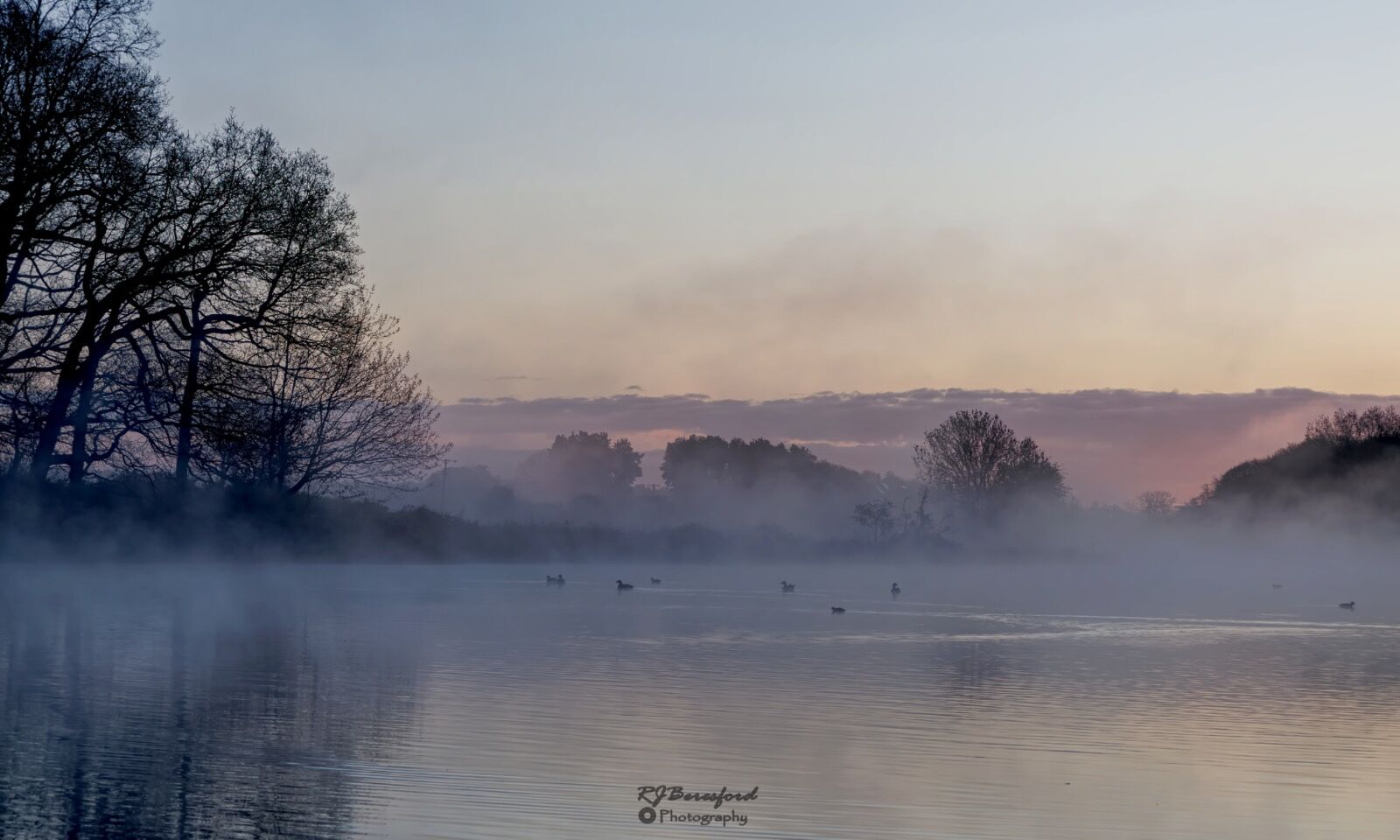 Morning Mist