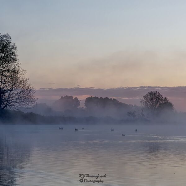 Morning Mist