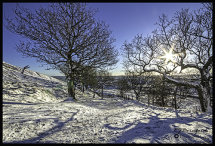 Path to Rushup Edge