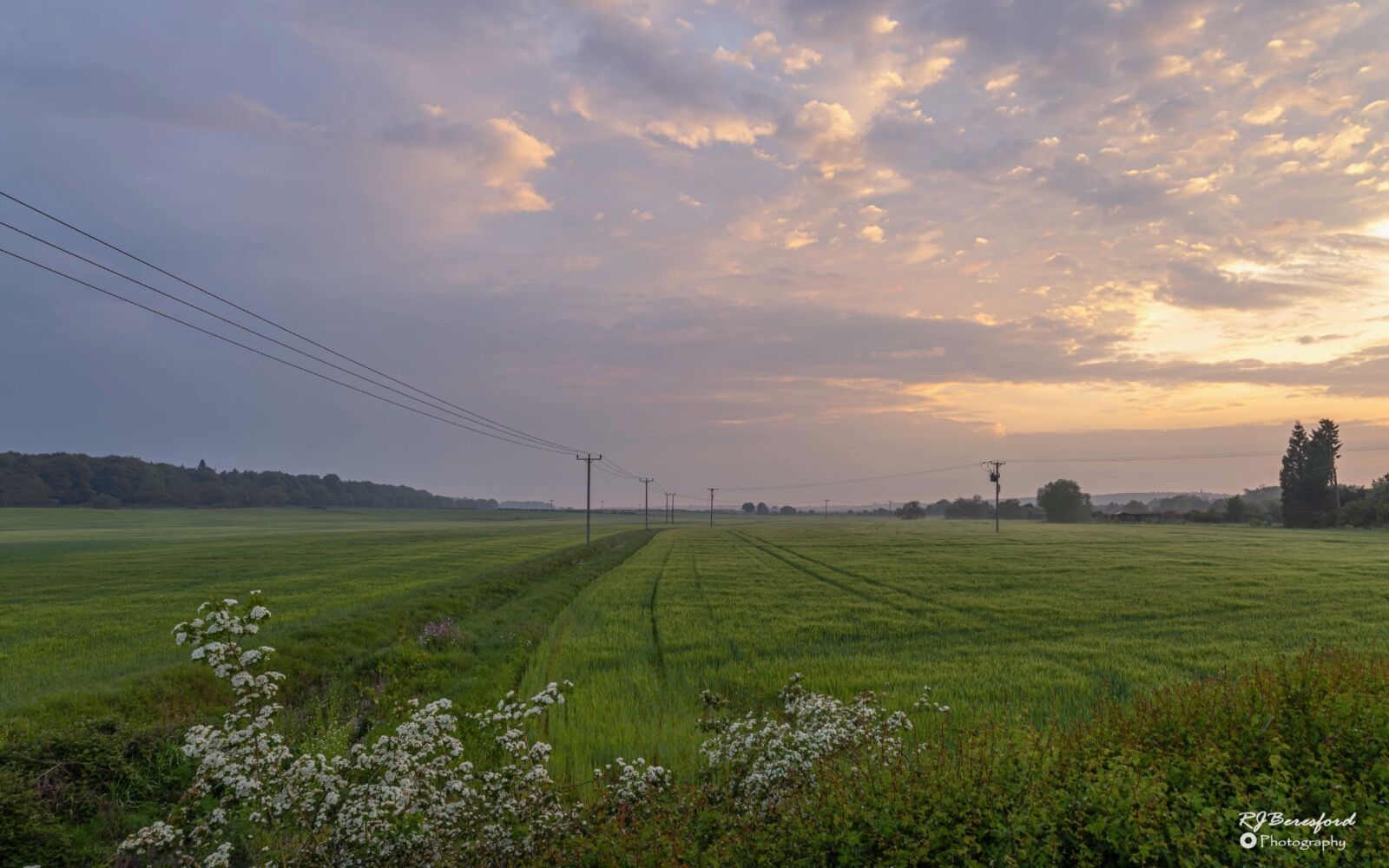 Sunrise Over the Fields