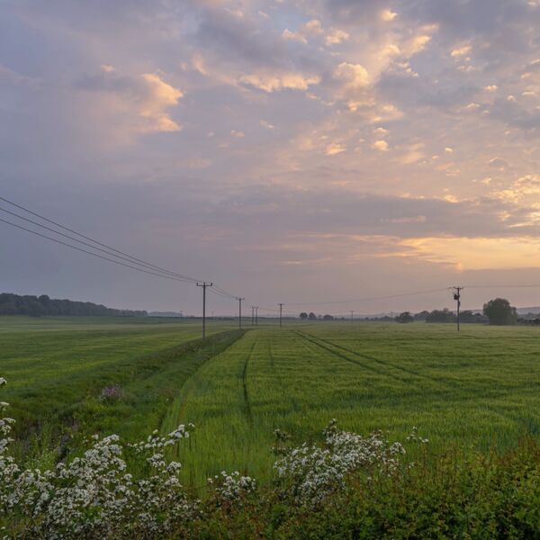 Sunrise Over the Fields