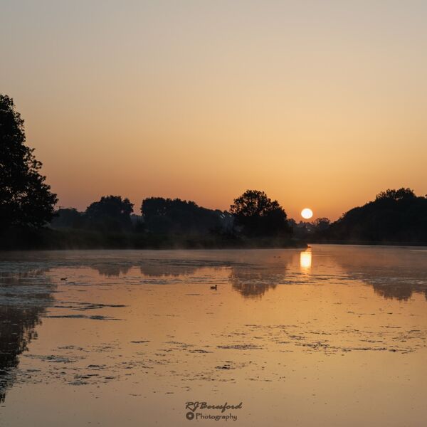 Tequila Sunrise 2