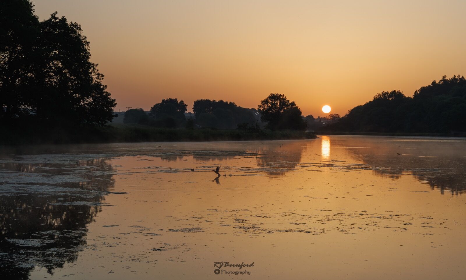 Tequila Sunrise 3