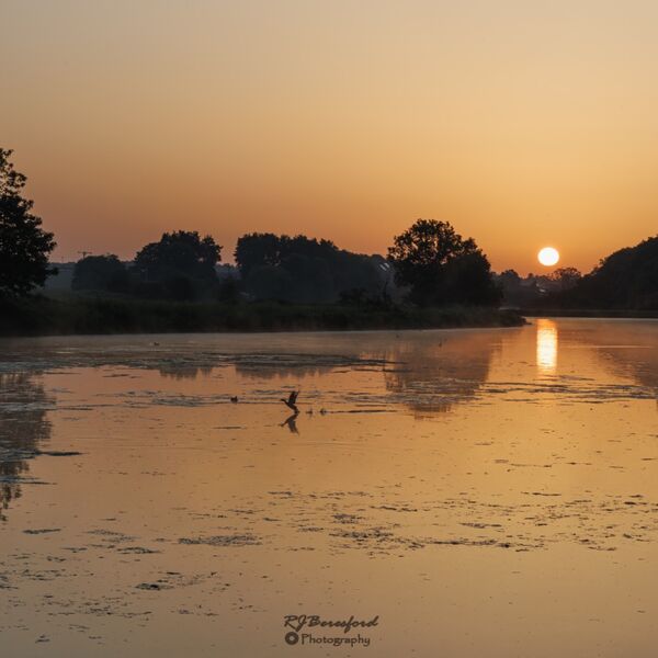Tequila Sunrise 3