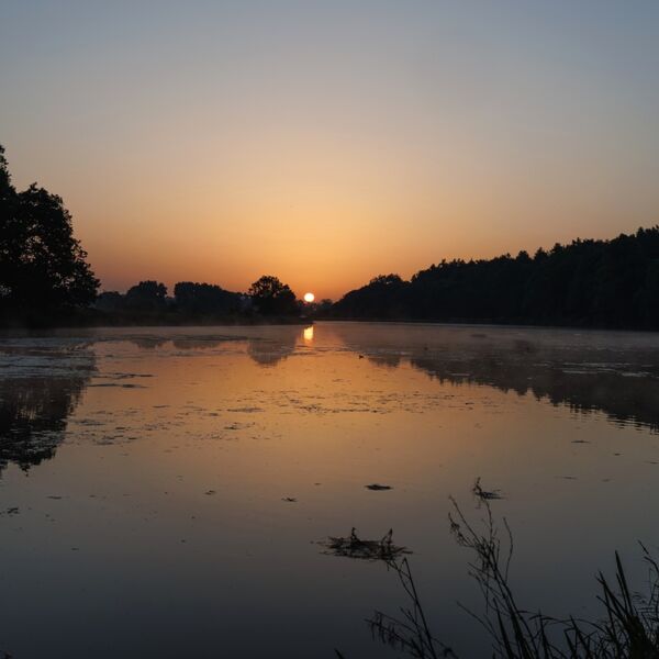 Tequila Sunrise