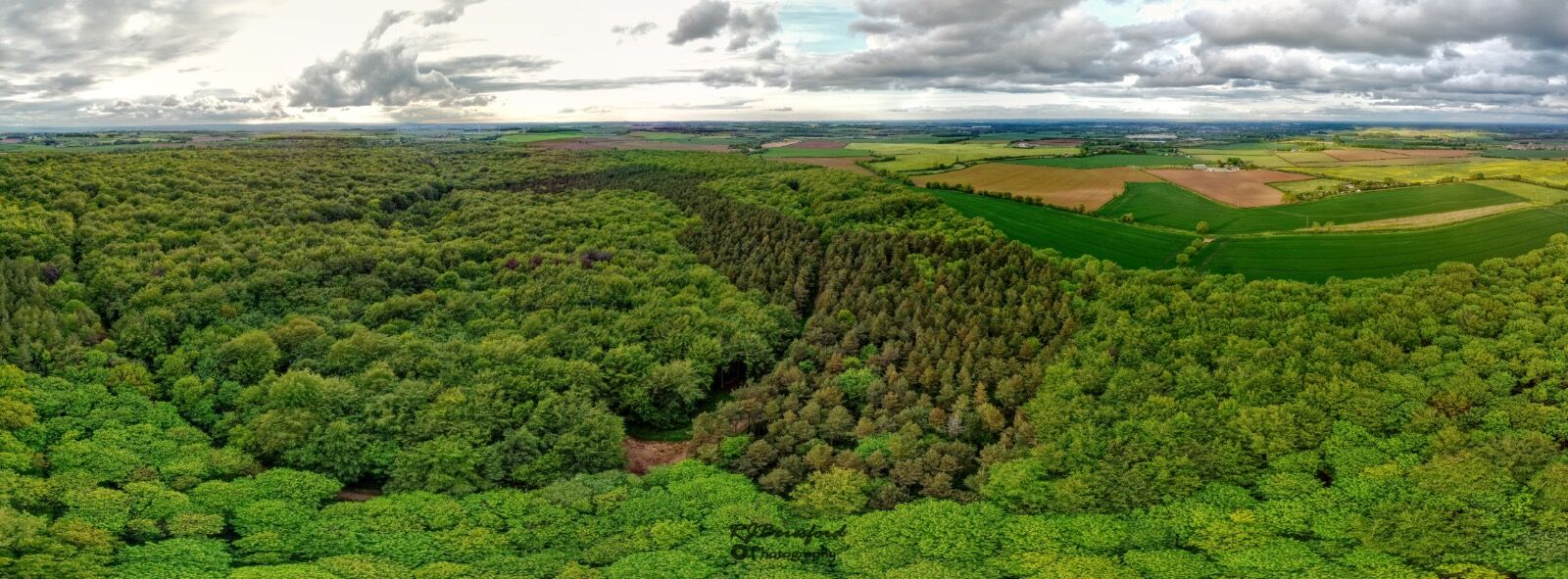 Whitwell Woods from Above