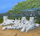 White tigers
