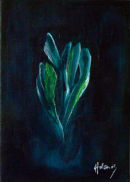 Spirit of the Fjords