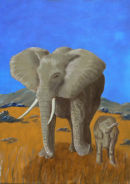 Elephants