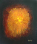 The Star came to Rest