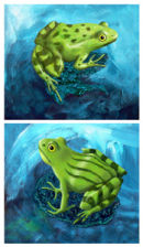 Marsh Frogs