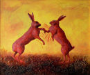 Hares boxing 1