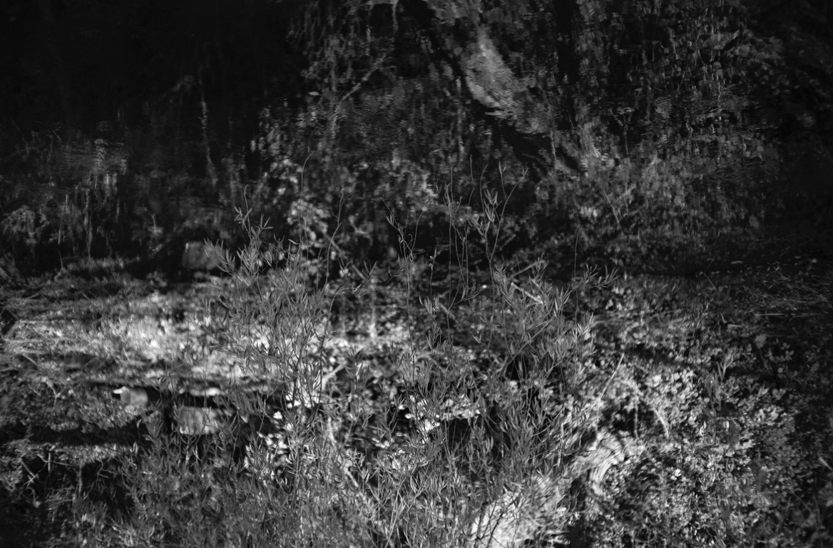 (Not) About the Place