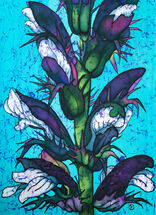 Paula Chapman