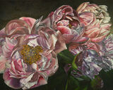 Debbie Waterworth