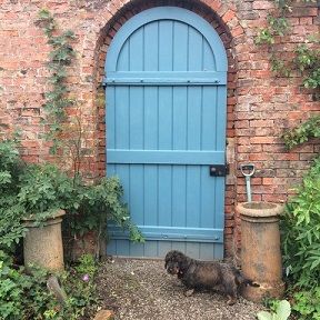Blue Door in the garden