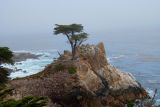 Pebble Beach